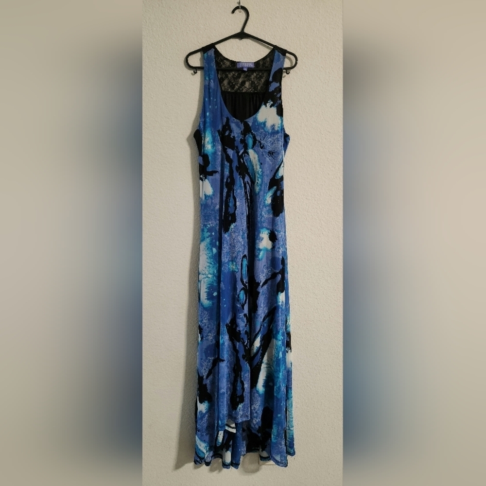 Vivienne Tam Women’s Micro Mesh Vintage Mesh Blue Watercolor Maxi dress Medium